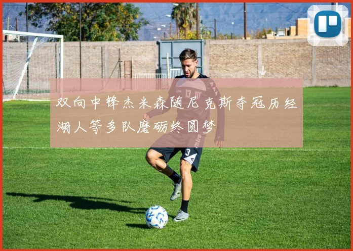 双向中锋杰米森随尼克斯夺冠历经湖人等多队磨砺终圆梦