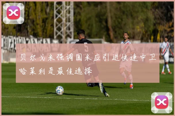 贝尔戈米强调国米应引进快速中卫哈莱利是最佳选择
