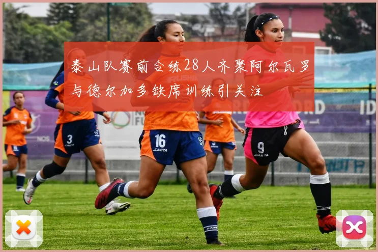 泰山队赛前合练28人齐聚阿尔瓦罗与德尔加多缺席训练引关注