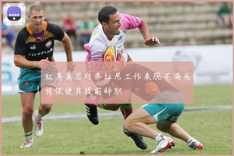 红鸟高层对弗拉尼工作表现不满或将促使其提前辞职